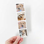 Impresión de Fotos | Foto Tira