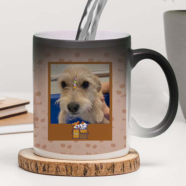 Mugs Mágico | Adios Colegio