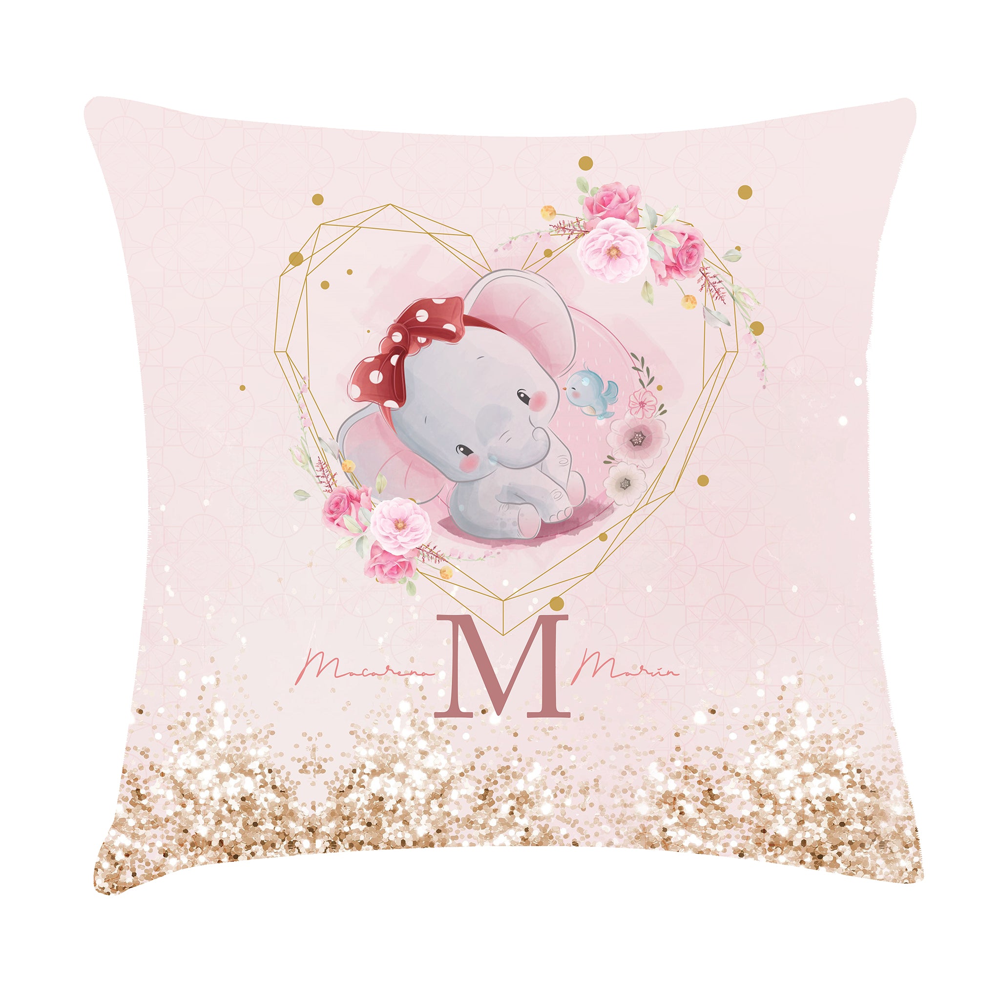 Cojin Plantillas Familia