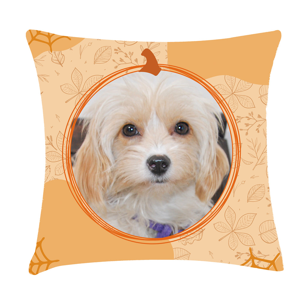 Cojin Plantillas Fechas Especiales