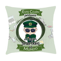 Cojin 44x44 Profesiones