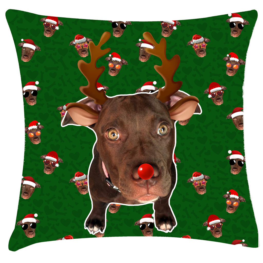 Cojin Plantillas Fechas Especiales