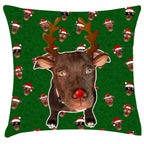 Cojin Plantillas Fechas Especiales