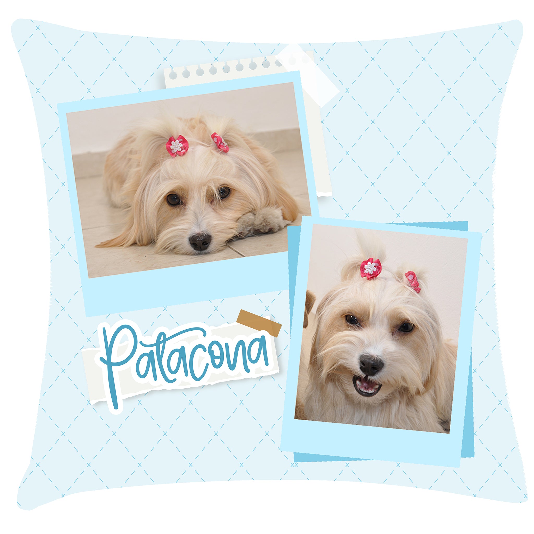 Cojin Plantillas Familia