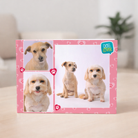 Book Promo 14x20 Pets